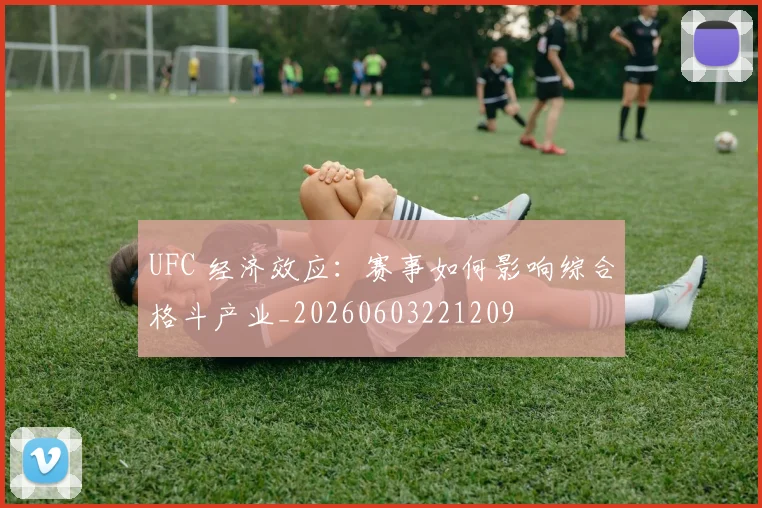 UFC 经济效应：赛事如何影响综合格斗产业_20260603221209