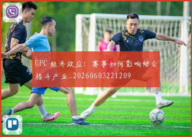 UFC 经济效应：赛事如何影响综合格斗产业_20260603221209